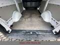 Mercedes-Benz VITO KASTEN 116 LANG/AUT/TEMP/DAB/KAMERA Bianco - thumbnail 42