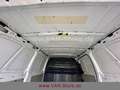 Mercedes-Benz VITO KASTEN 116 LANG/AUT/TEMP/DAB/KAMERA Bianco - thumbnail 43