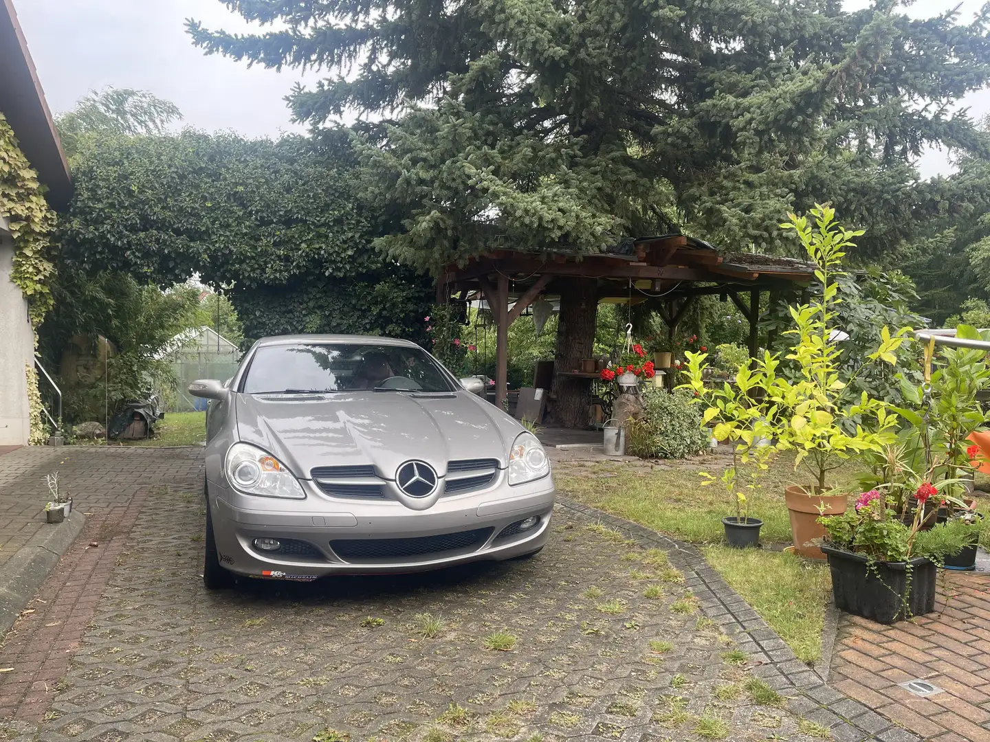 Mercedes-Benz SLK 280 SLK 280 (171.454) Grau - 2