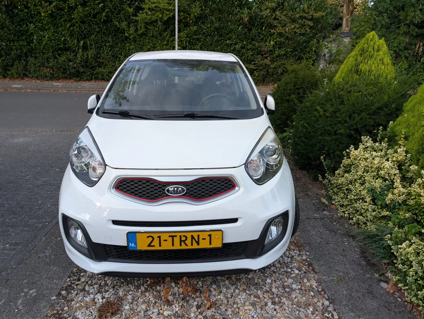 Kia Picanto Picanto 1.2 CVVT Comfort P. Biały - 1