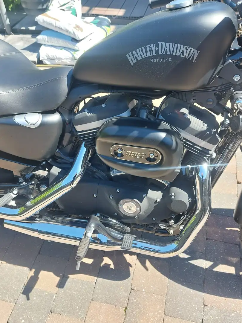 Harley-Davidson Sportster XL 883 Noir - 2