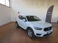 Volvo XC40 XC40 2.0 d3 Momentum awd my20 Bianco - thumbnail 2