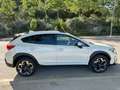 Subaru XV 2.0i Hybrid Sport Plus CVT Blanco - thumbnail 5