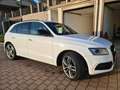 Audi SQ5 SQ5 3.0 tdi biturbo quattro 340cv tiptronic Bianco - thumbnail 2