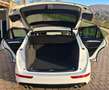 Audi SQ5 SQ5 3.0 tdi biturbo quattro 340cv tiptronic Bianco - thumbnail 9