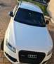 Audi SQ5 SQ5 3.0 tdi biturbo quattro 340cv tiptronic Bianco - thumbnail 4