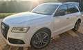 Audi SQ5 SQ5 3.0 tdi biturbo quattro 340cv tiptronic Bianco - thumbnail 1