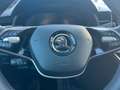Skoda Kamiq Selection,110KW,DSG,WP,5JGar.Navi,Kamer Grau - thumbnail 15