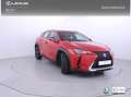 Lexus UX 250h Business Navigation 4WD Rojo - thumbnail 25