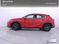 Lexus UX 250h Business Navigation 4WD Rojo - thumbnail 4