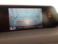 Lexus UX 250h Business Navigation 4WD Rojo - thumbnail 18