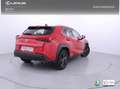 Lexus UX 250h Business Navigation 4WD Rojo - thumbnail 24