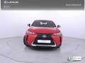 Lexus UX 250h Business Navigation 4WD Rojo - thumbnail 6