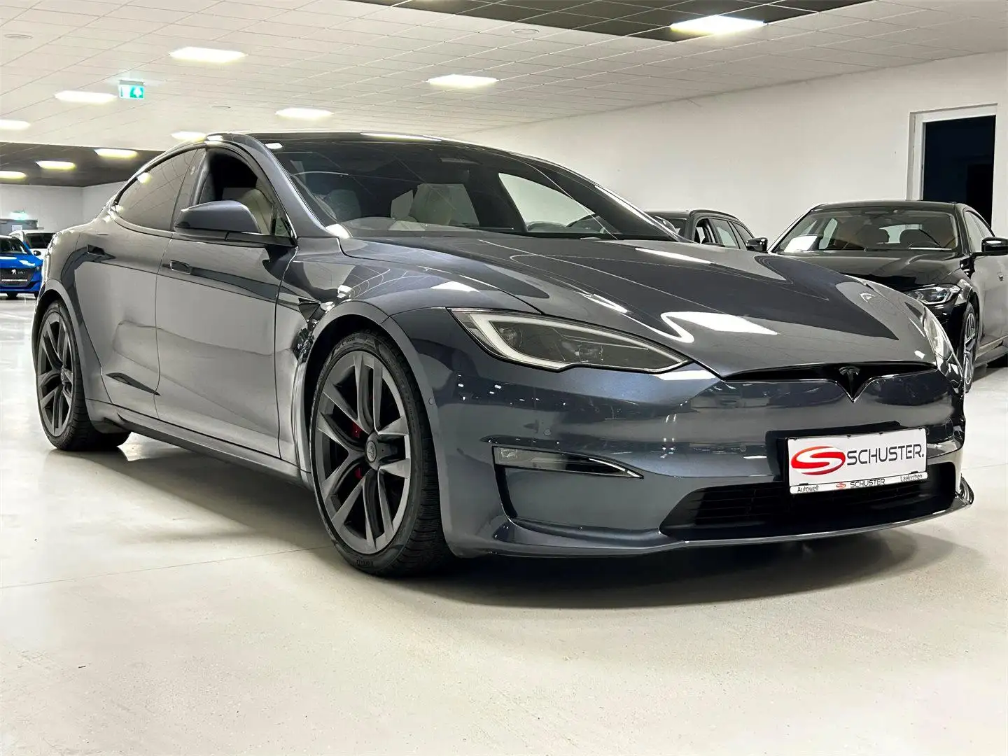 Tesla Model S Plaid 100 KWH Grau - 1