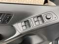 Volkswagen Tiguan Track & Field 4Motion/AHK/PDC/19°Alu/Pano Grigio - thumbnail 11