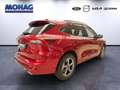 Ford Kuga ST LINE PHEV 2.5 *Head-Up*LED*Ganzjahresreifen* Rot - thumbnail 3