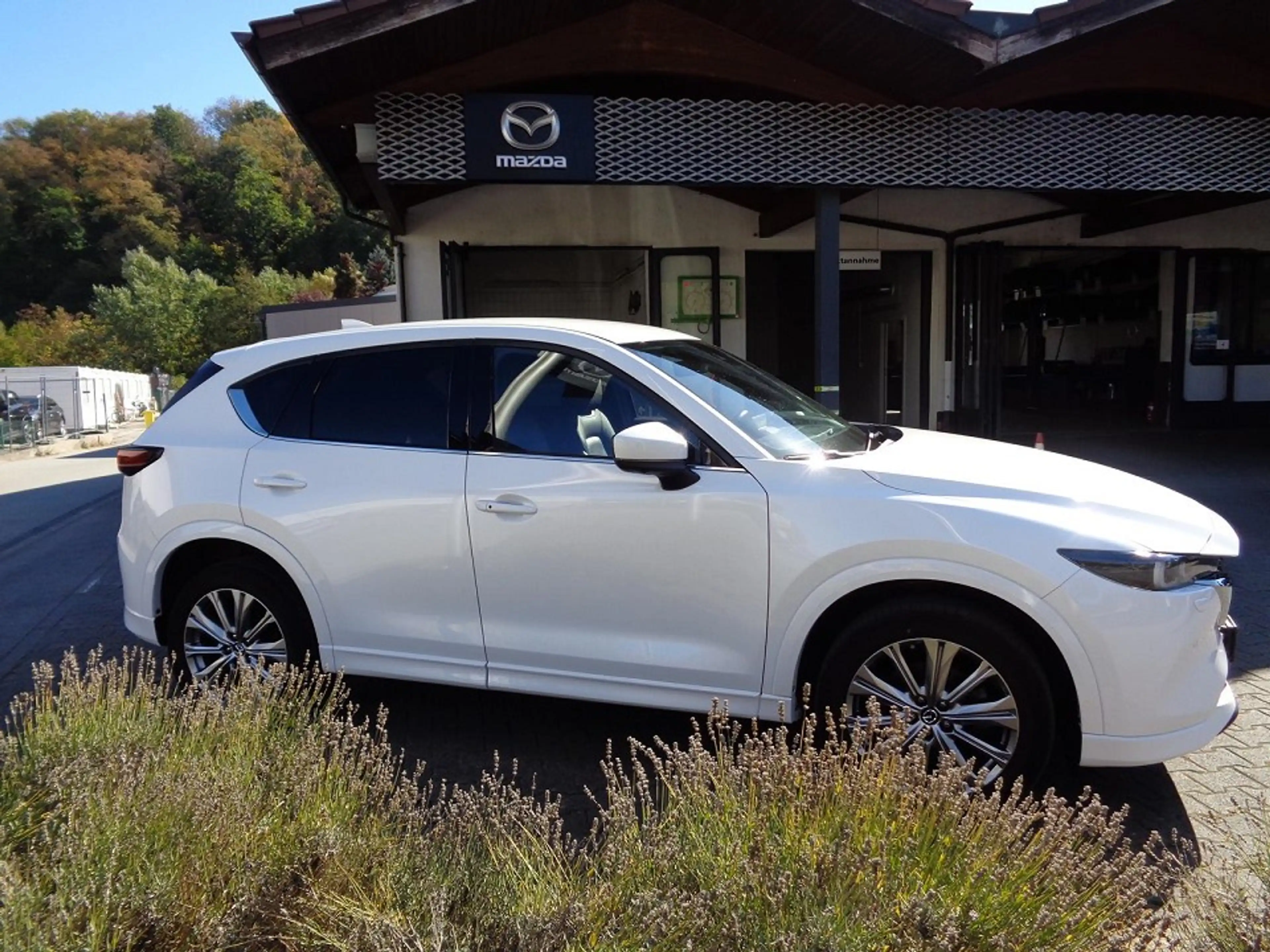 Mazda CX-5 SKYACTIV-D 184 FWD 5T 6GS AL-SPORTSLINEPLUS — photo 6
