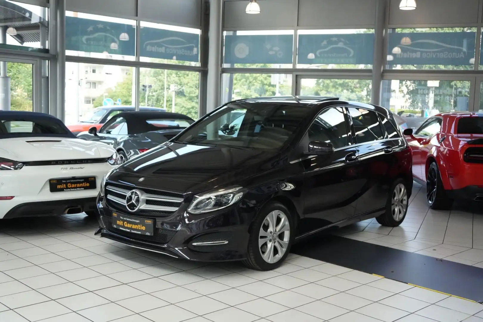 Mercedes-Benz B 220 CDI / d *1.Hand *Pano.*Memory *Kamera uvm. Violett - 2