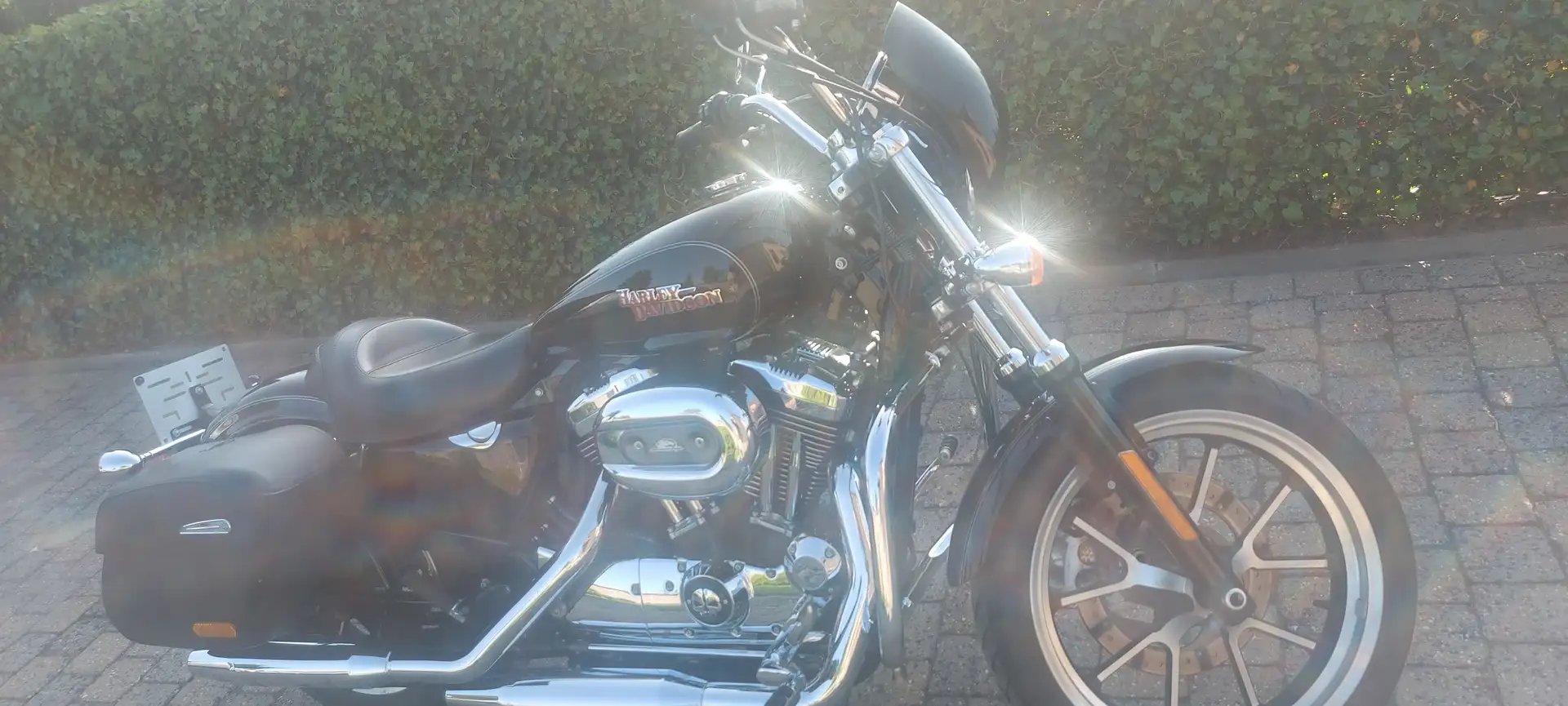 Harley-Davidson Sportster 1200 Superlow. T. Noir - 2