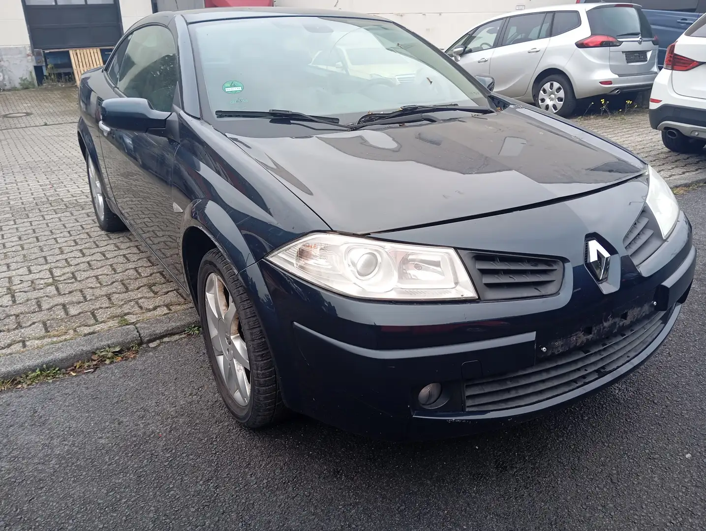 Renault Megane Dynamique Caprio Leder - 2