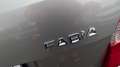 Skoda Fabia Combi Cool Edition / incl. 2 Jahre HU & AU Beige - thumbnail 11