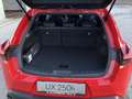 Lexus UX 250h Style Edition*Leasing 2,99%*Safety+*Bi-LED* Rojo - thumbnail 10