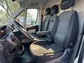 Fiat Ducato Weiß - thumbnail 11