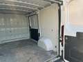 Fiat Ducato Weiß - thumbnail 23
