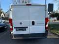 Fiat Ducato Weiß - thumbnail 8