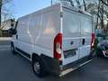 Fiat Ducato Weiß - thumbnail 9