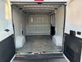 Fiat Ducato Weiß - thumbnail 21