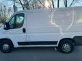 Fiat Ducato Weiß - thumbnail 6