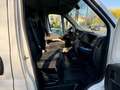 Fiat Ducato Weiß - thumbnail 15