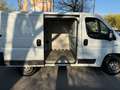 Fiat Ducato Weiß - thumbnail 5