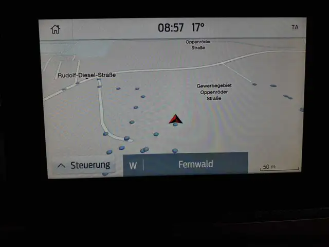 Ford Transit view 12