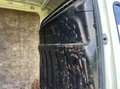 Iveco Daily 35S13V 330 H3 Wit - thumbnail 7