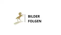 Mercedes-Benz GLC 250 d 4Matic Aut. 360° StandHz. HUD AHK LED
