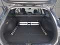 Kia Ceed SW / cee'd SW ceed SW 1,6 CRDi ISG Silber DCT Schwarz - thumbnail 13