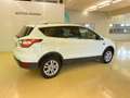 Ford Kuga 1.5 EcoB. Auto S&S Trend 4x2 120 Blanc - thumbnail 2
