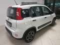Fiat Panda Panda 1.0 hybrid 70cv City Cross Bianco - thumbnail 4
