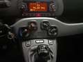 Fiat Panda Panda 1.0 hybrid 70cv City Cross Bianco - thumbnail 6