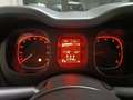 Fiat Panda Panda 1.0 hybrid 70cv City Cross Bianco - thumbnail 11