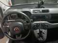 Fiat Panda Panda 1.0 hybrid 70cv City Cross Bianco - thumbnail 8