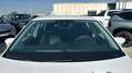 SEAT Ibiza 1.0 MPI S&S Reference 80 Blanco - thumbnail 25
