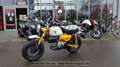 Honda Monkey 125 ABS  NEU! Gelb - thumbnail 4