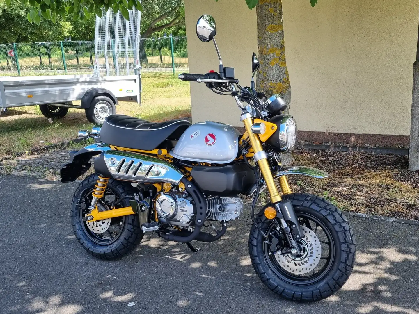 Honda Monkey 125 ABS  NEU! Jaune - 2