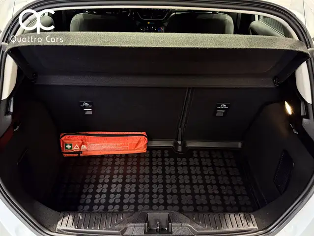 Ford Fiesta view 29