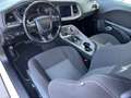 Dodge Challenger Automatik SRT 392 Blanc - thumbnail 8
