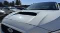 Subaru WRX Impreza STI Original Zustand *42000 KM* Blanco - thumbnail 37