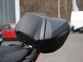 Honda Forza 125 B196 Führerschein LED SCHEINWERFER Grijs - thumbnail 7